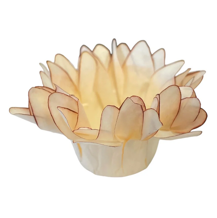 Forminhas para Doces Finos MADRI - 30 unidades